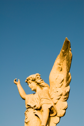 newangel