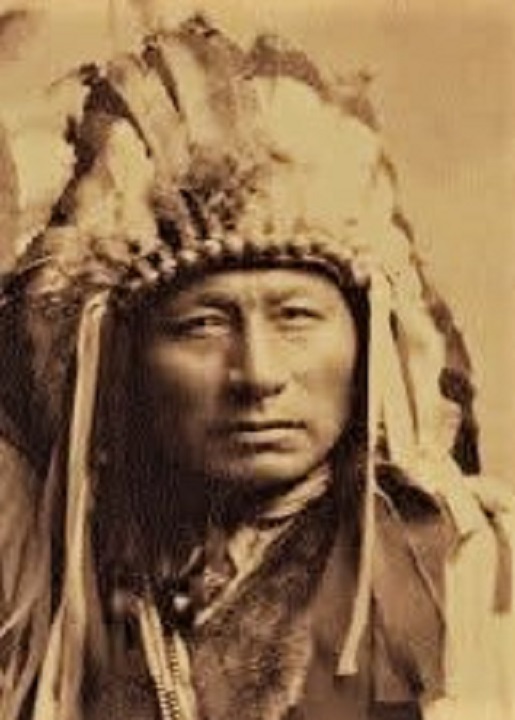 chieflongwolf