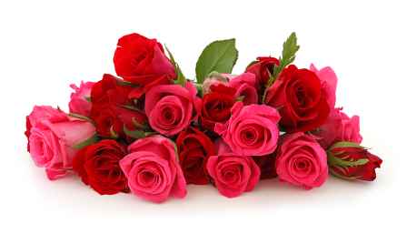 roseboquet